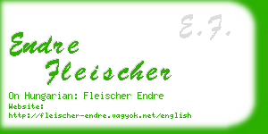 endre fleischer business card